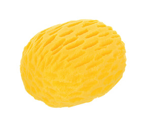 Sponge bath isolated on the white background