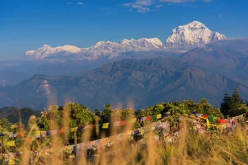 Photo sur Plexiglas Dhaulagiri Mt. Dhaulagiri (8,172m) and prayer flags from Poon Hill, Nepal.
