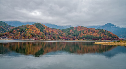 Autumn colour hill at lake Kawaguchiko, Japan.