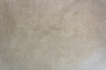 Background cement wall.