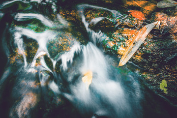 Waterfall stream. Water streams of natural forests