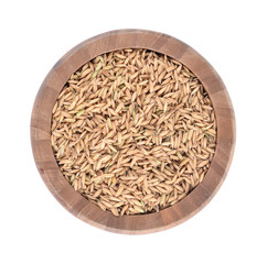 Paddy rice isolated on white background