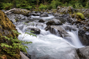 Fototapeta premium Solduc River above the Salmon Cascades, Olympic National Park, WA