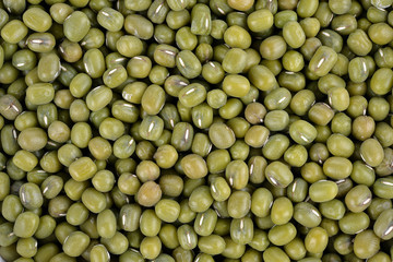 Green bean or mung bean background