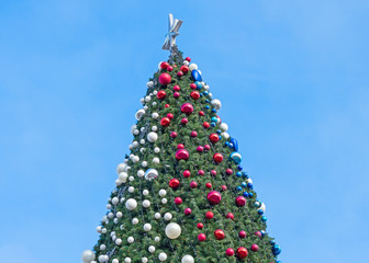 Fototapeta premium Christmas tree