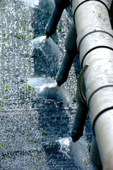 Watering for seedings rice with automatic.