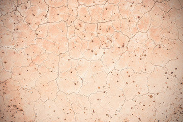Crack soil texture background