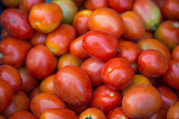 fresh tomato for cooking food