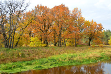 Quiet autumn on the river