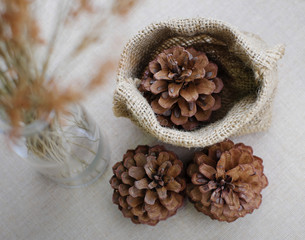 Pine Cone  Decorations on canvas background photo