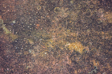 Background textured surface cement on the floors