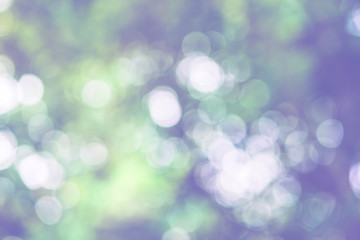 Fototapeta premium Trees naturally blurred background bokeh.