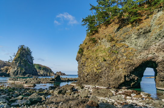 Shika Bilder Durchsuchen 967 Archivfotos, und Videos