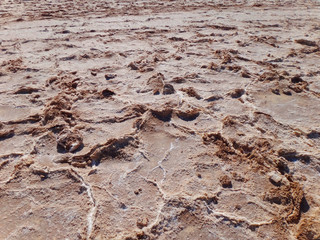 salt and soil