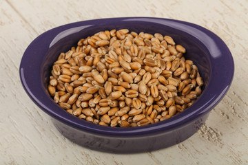 Wheat grains