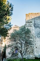 Fototapeta na wymiar L'Abbaye de Montmajour près d'Arles