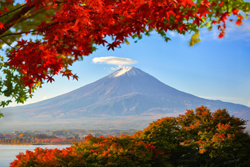 Mt. Fuji viewed with maple tree in fall colors in japan.
