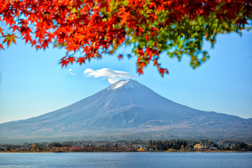 Mt. Fuji viewed with maple tree in fall colors in japan.