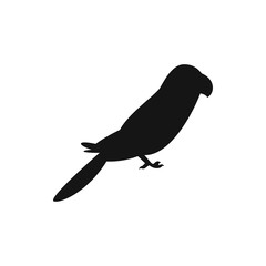 parrot icon illustration