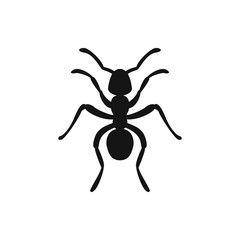 ant icon illustration