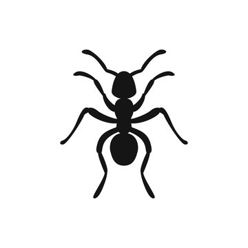 Ant Icon Illustration