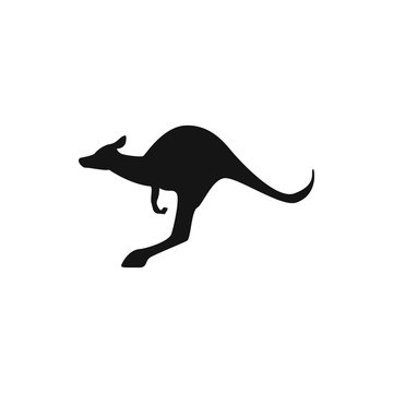 cangaroo icon illustration