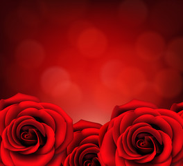 Holiday background with red roses. Vector illustration