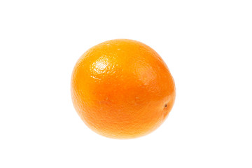Ripe bright orange on a white background