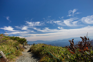 landscale