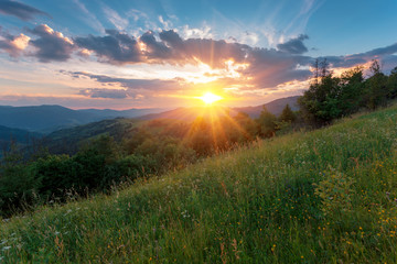 Sunset panorama of the Carpathian mountains. Ukraine.