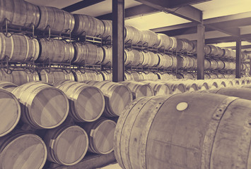  wooden barrels in  winery factory