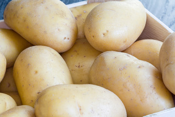 Pommes de terre en cagettes sur fond noir