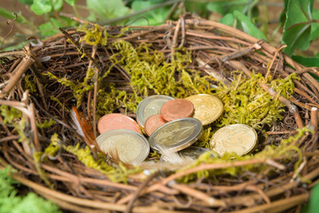 Nest of savings