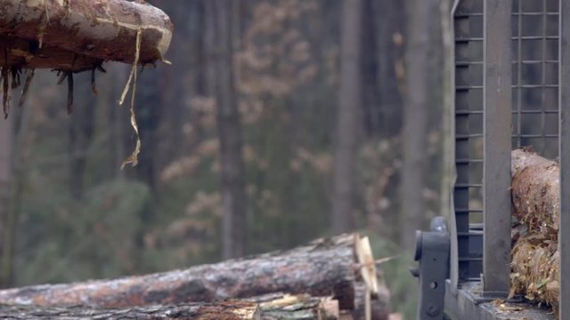 The mechanical arm of a specialized Bark Removing Machine strips the bark from a freshly chopped tree trunk in a forest