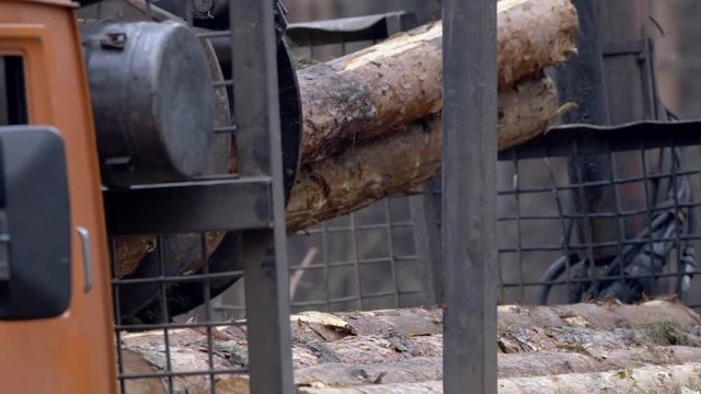 The mechanical arm of a specialized Bark Removing Machine strips the bark from a freshly chopped tree trunk in a forest