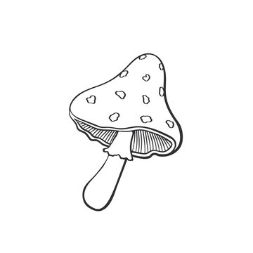 Doodle of amanita mushroom