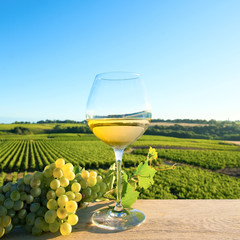 Vin blanc sur fond de vigne en France