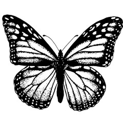 beautiful tattoo sketch butterfly