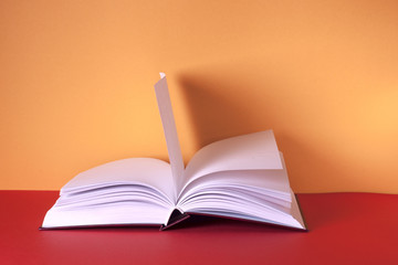 Open book on light table. Back to school. Copy space.