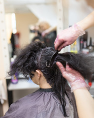 Fototapeta premium hair coloring in the beauty salon