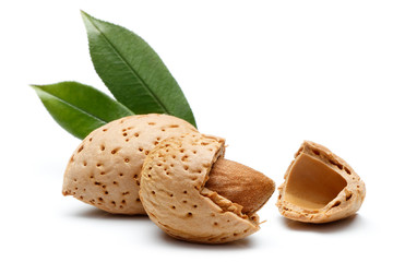 Almond nut isolated