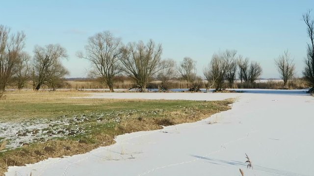 Havel river chanal with footprints of nutria river rat in snow. (Havelland, Germany)