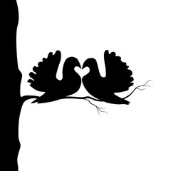 two birds forming a heart shape sitting on a tree