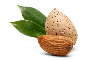 Almond nut isolated