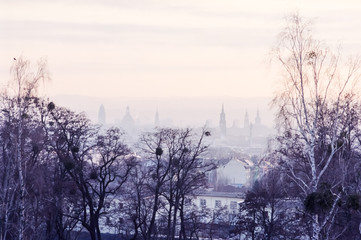 Dresden im Nebel