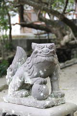 Fototapeta na wymiar 鵜戸神宮 稲荷神社　吽像