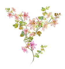 watercolor painting of leaves and flower, on white background