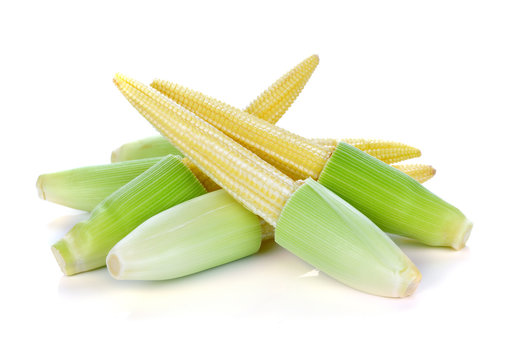 Baby Corn Isolated On White Background