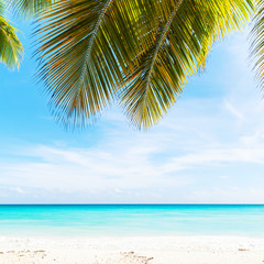 Tropical beach photo background