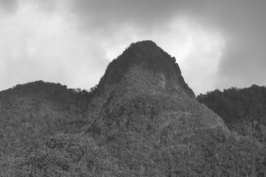 Fototapeta green mountain on a cloudy day - black and white